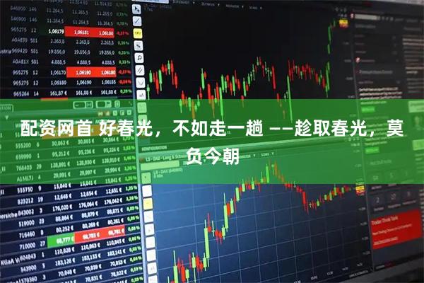 配资网首 好春光，不如走一趟 ——趁取春光，莫负今朝